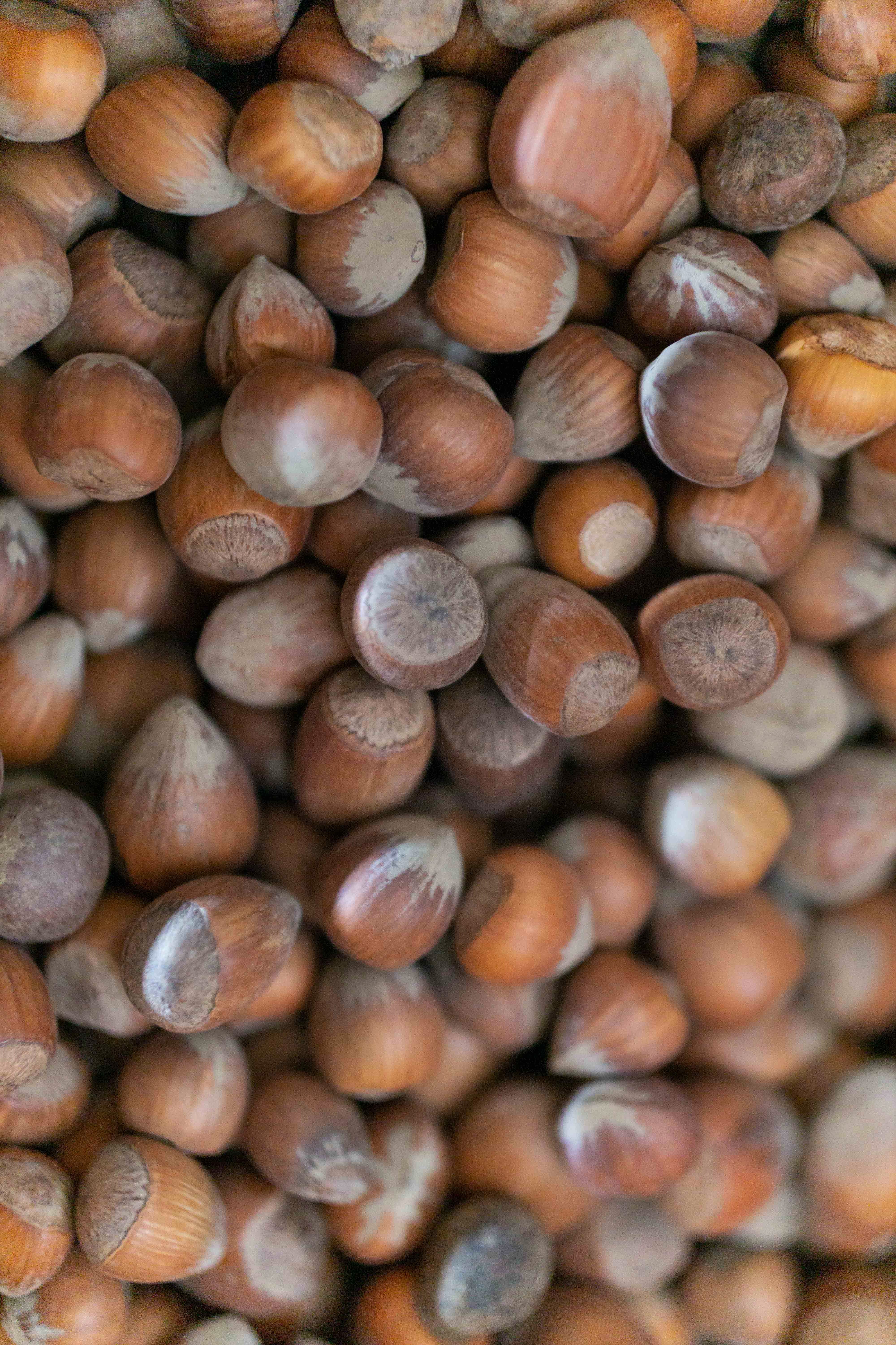 Hazelnuts in shell, Croatia, assortment smaller than 16 mm