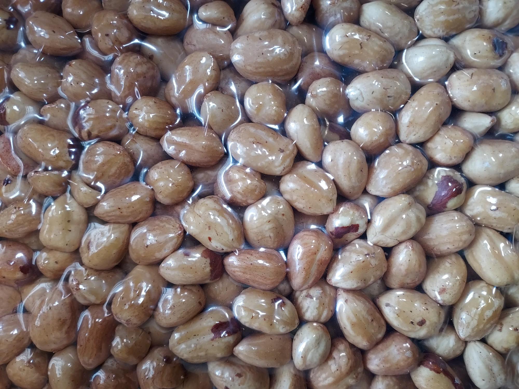 Organic hazelnut kernels natural brown, Croatia 