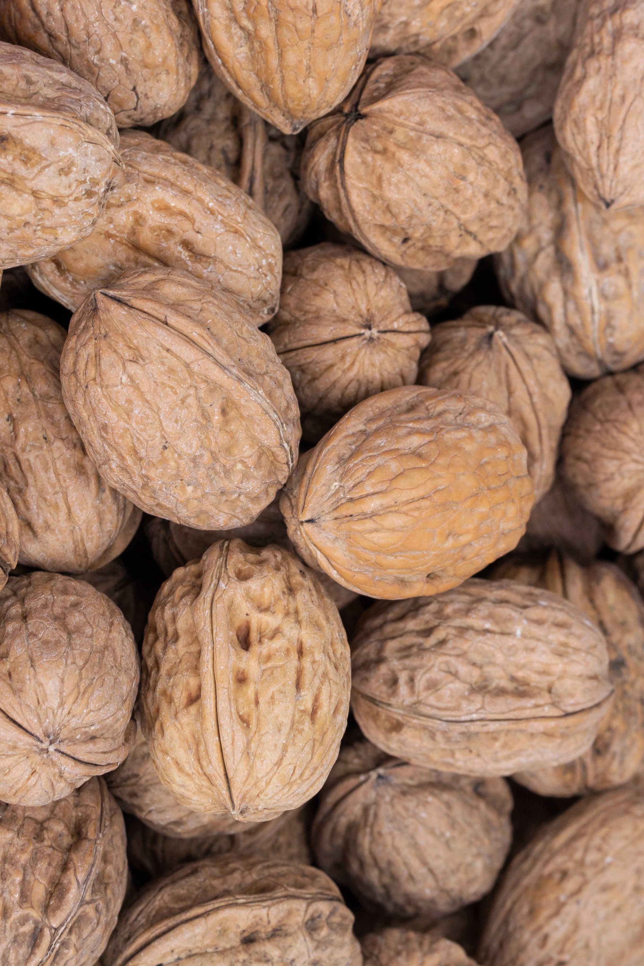 Organic walnuts in shell, France, assortment 32-34mm