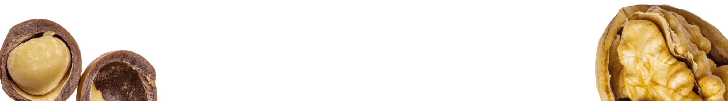 Walnüsse Walnuss Hälften