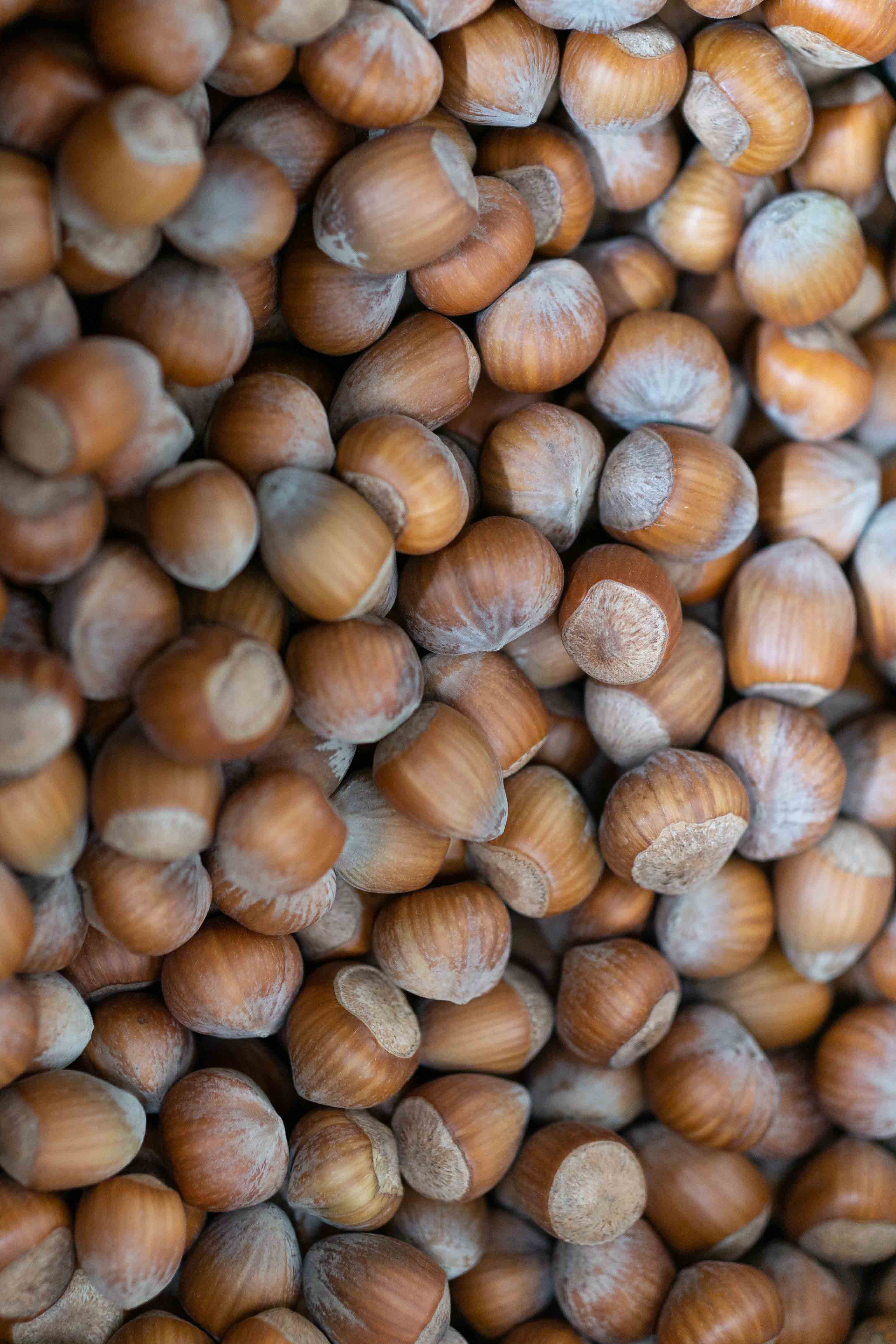 Organic hazelnuts in shell, Croatia, grading > 20 mm