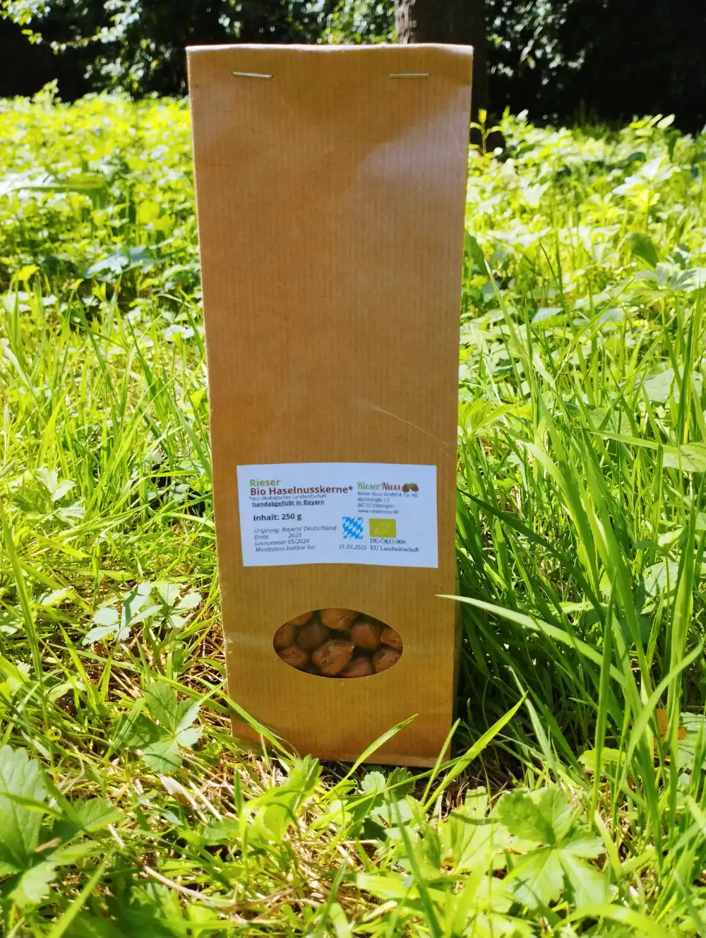 Bio Haselnusskerne naturbraun Deutschland, Rohkostqualität 250 Gramm