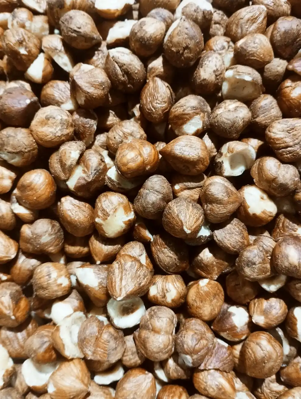 Organic hazelnut kernels natural brown Germany, raw food quality