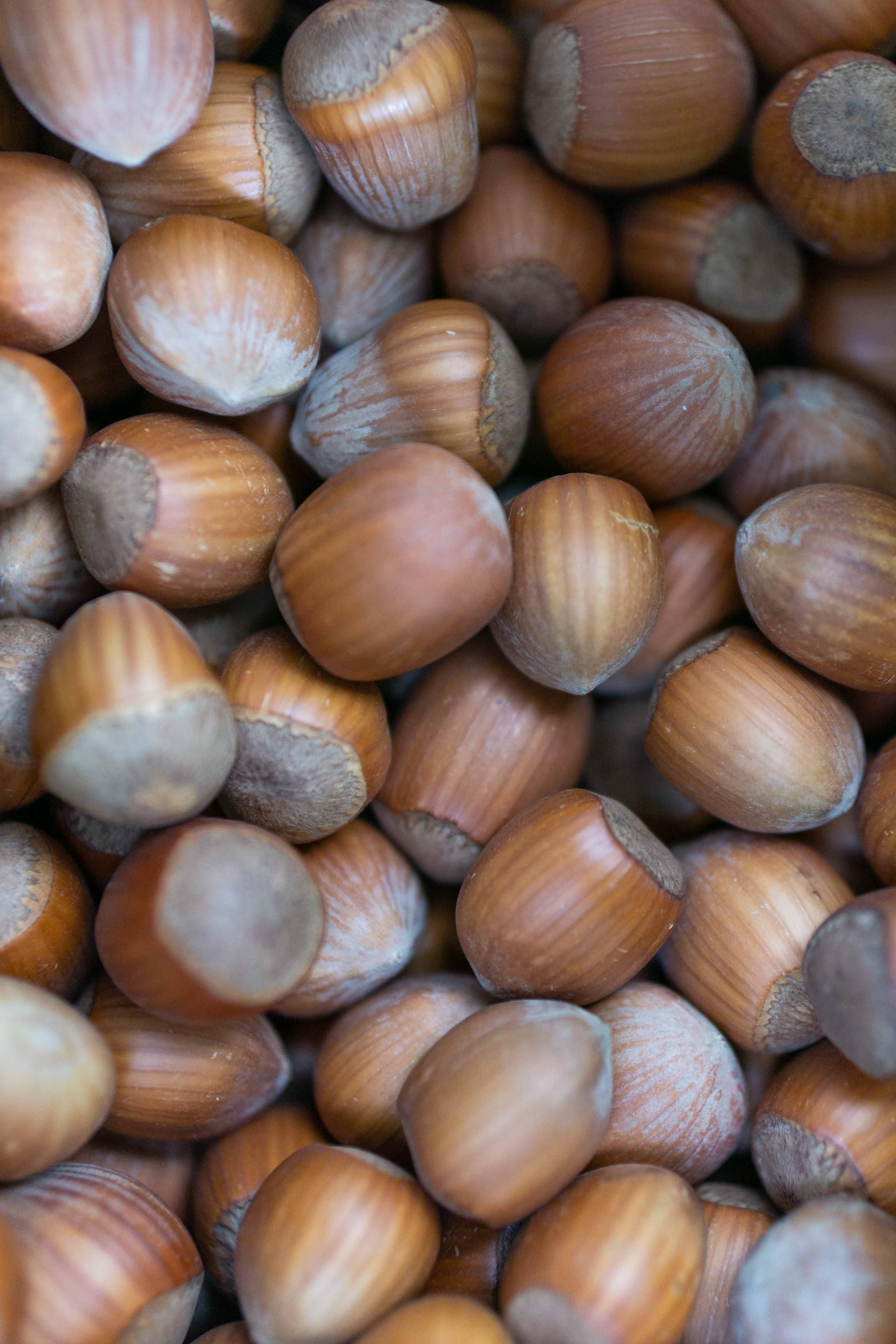 Hazelnuts in shell, France, assortment 18-20mm - Sorry, sold out