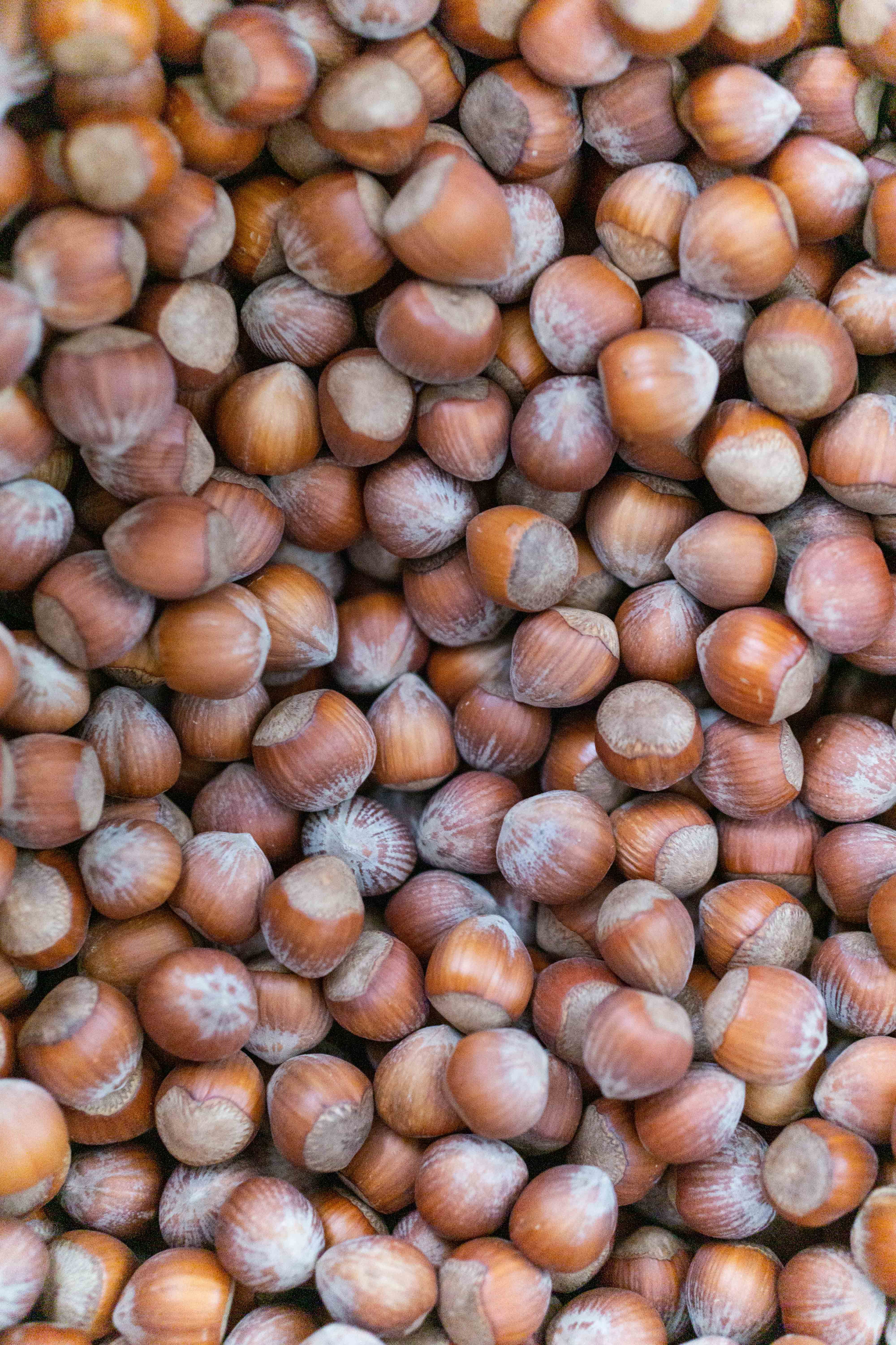 Hazelnuts in shell, France, assortment 20-22mm