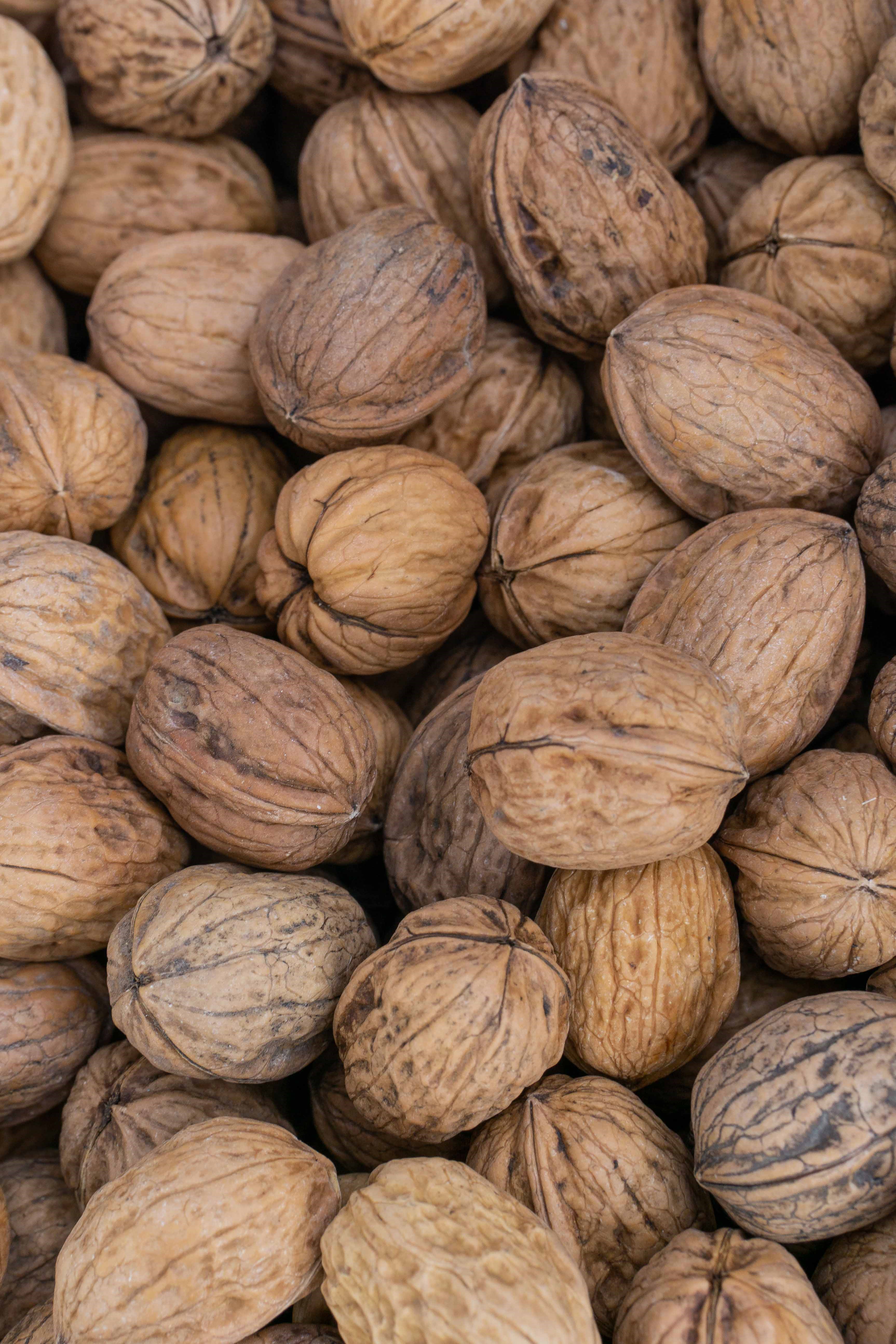 Walnuss-24-26-direkt