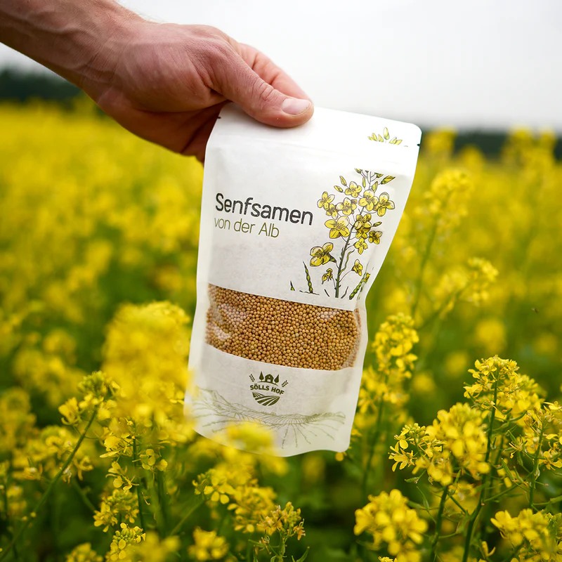 Senfsamen-Packung im Senffeld
