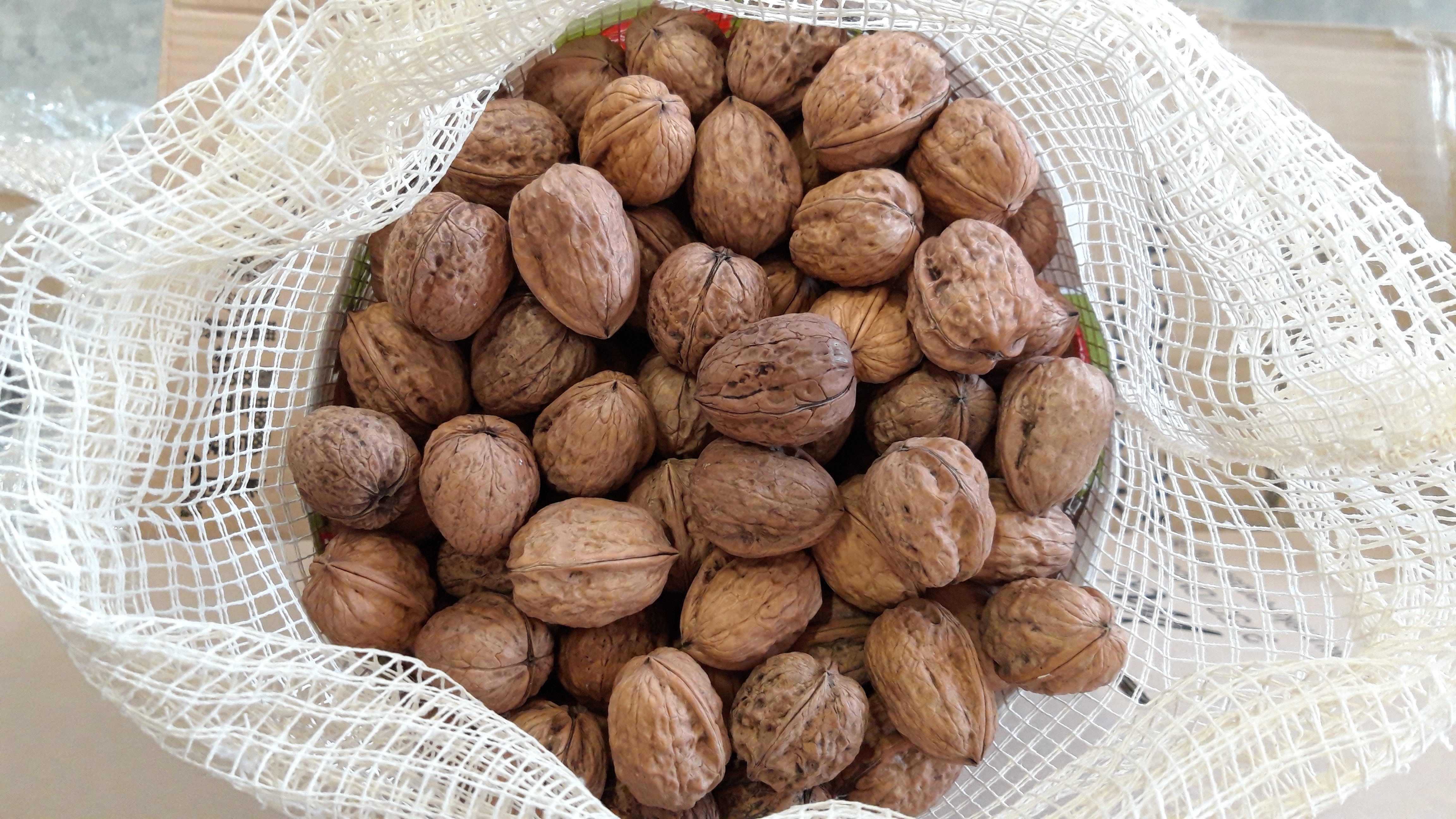 Organic walnuts in shell, France, Jumbo assortment 34-36mm